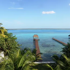 https://amigos-hotelito.quintano-roohotels.com